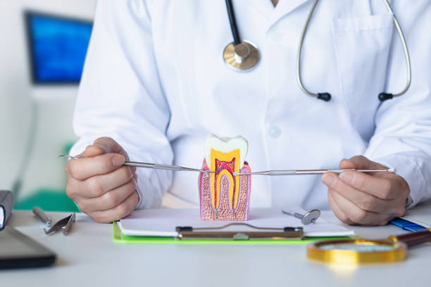Best Emergency Denture Repair in Forsyth, MO